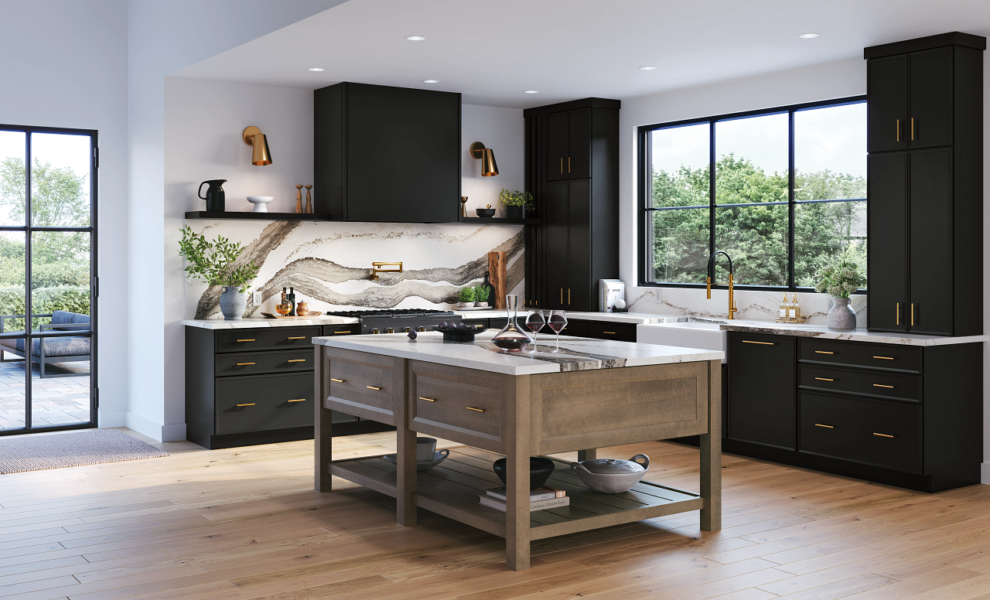 Medallion-gold-contemporary-kitchen