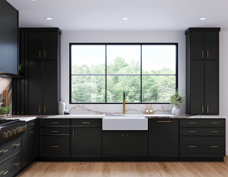Medallion-gold-contemporary-kitchen-storage